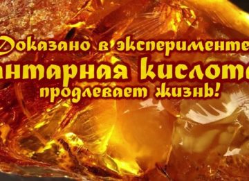 Польза и вред янтарной кислоты